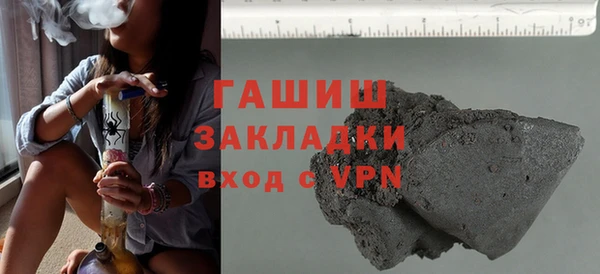 гашик Алексин