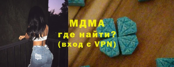 гашик Алексин