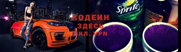 гашик Алексин