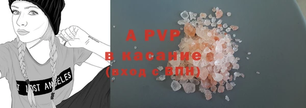 гашик Алексин