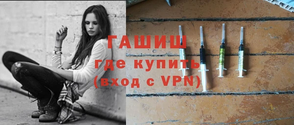 гашик Алексин