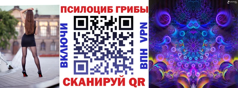 Галлюциногенные грибы Psilocybe  Сельцо 